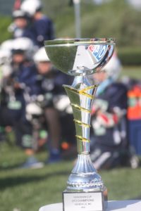 Guardian Cup